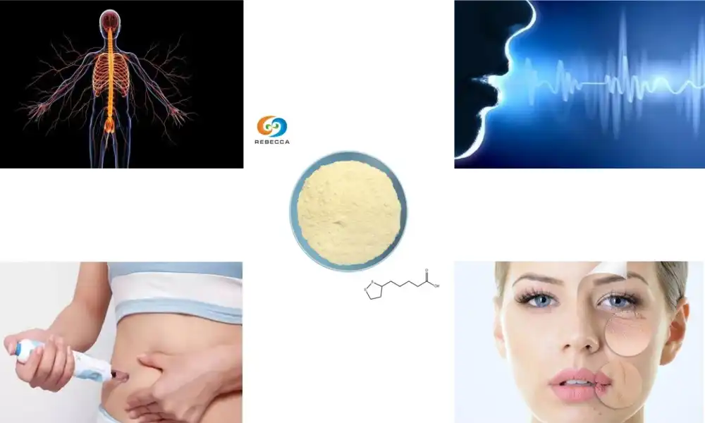 What are the symptoms of α-Lipoic Acid deficiency?